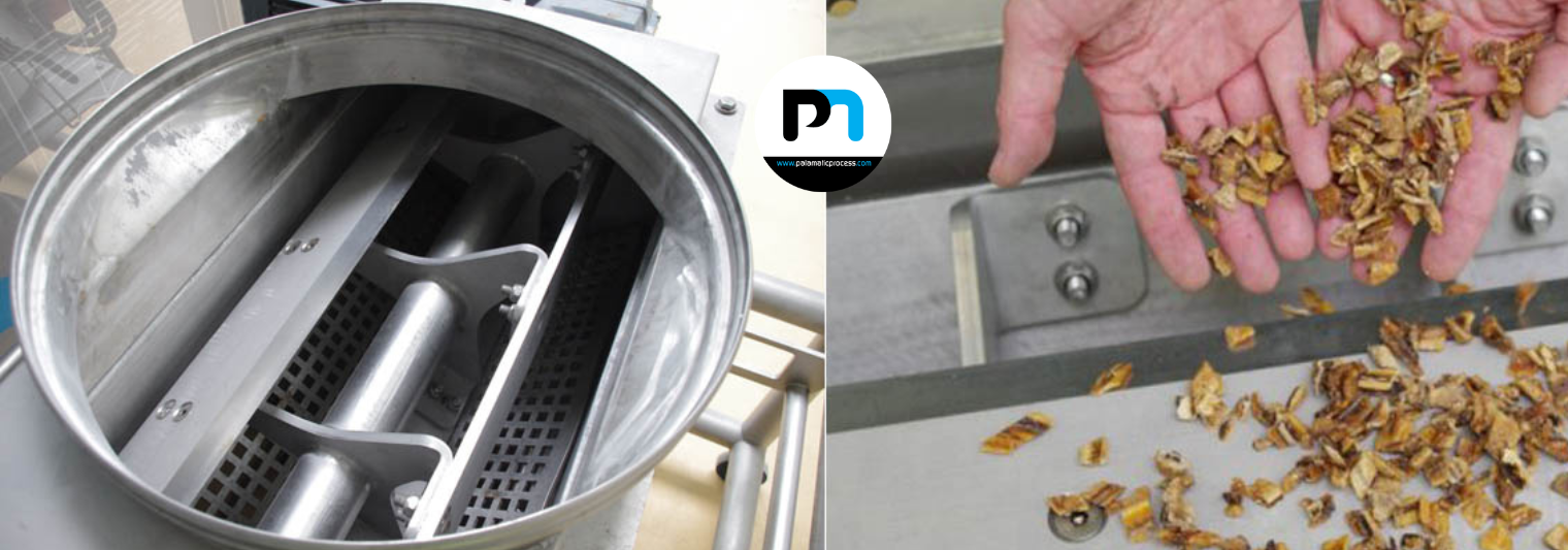 Paddle Granulator: A Key Solution for Powder Flow