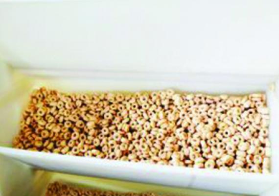 Bucket conveyor for cereals