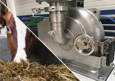 lysine-crushing-mill-food Lysine crushing mill food