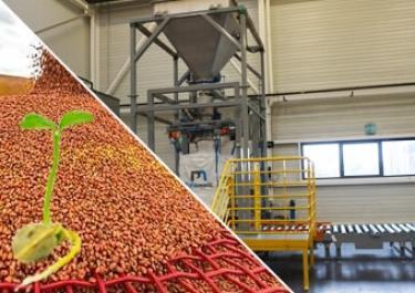 Big bag filling with seeds Seed conditioning