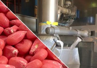 línea de tratado de semillas