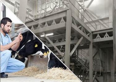 mixing-additives-veterinary-use Mixing additives veterinary use