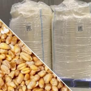 Conservación de semillas en big bags