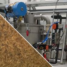 Taller de clasificación de insectos entomocultura Taller de clasificación de insectos entomocultura