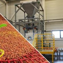 Big bag filling with seeds Seed conditioning