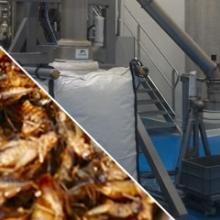 Embalagem de farinha de insetos Embalagem de farinha de insetos