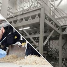 mixing-additives-veterinary-use Mixing additives veterinary use