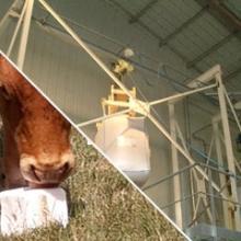 discharging-and-conveying-of-feed-additives Discharging and conveying of feed additives